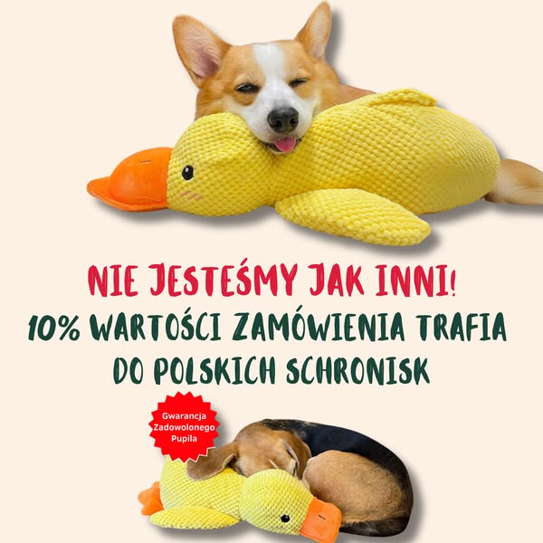 Darmowa dostawa!