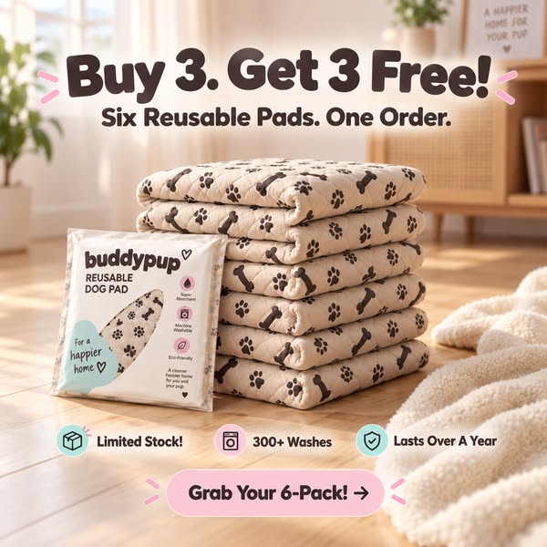 Protect your floors, enjoy your pup