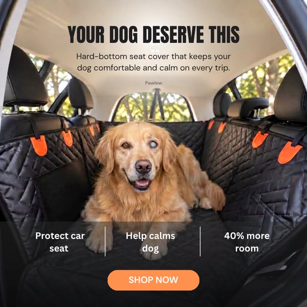 Pawlow Hard Bottom Seat Cover