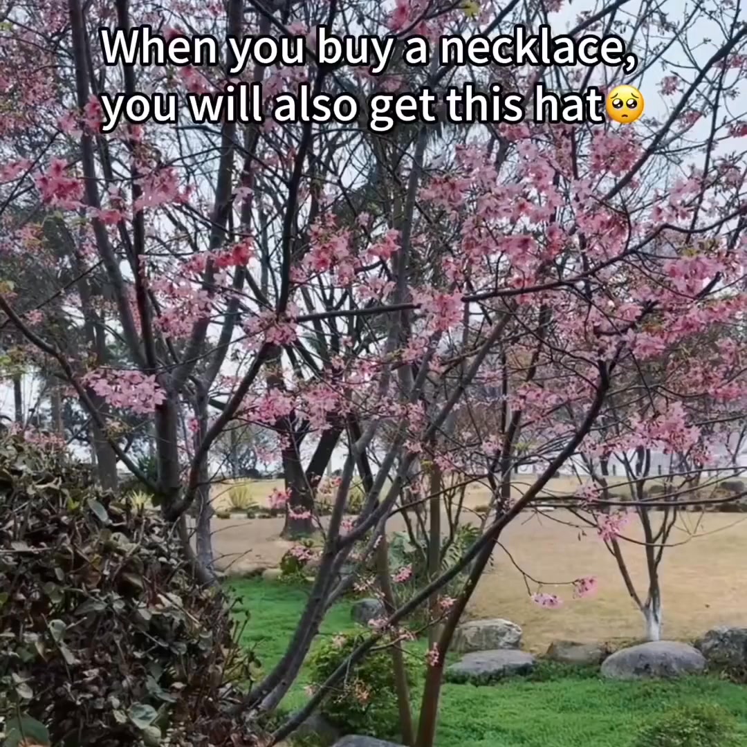 65% OFF SALE TODAY!