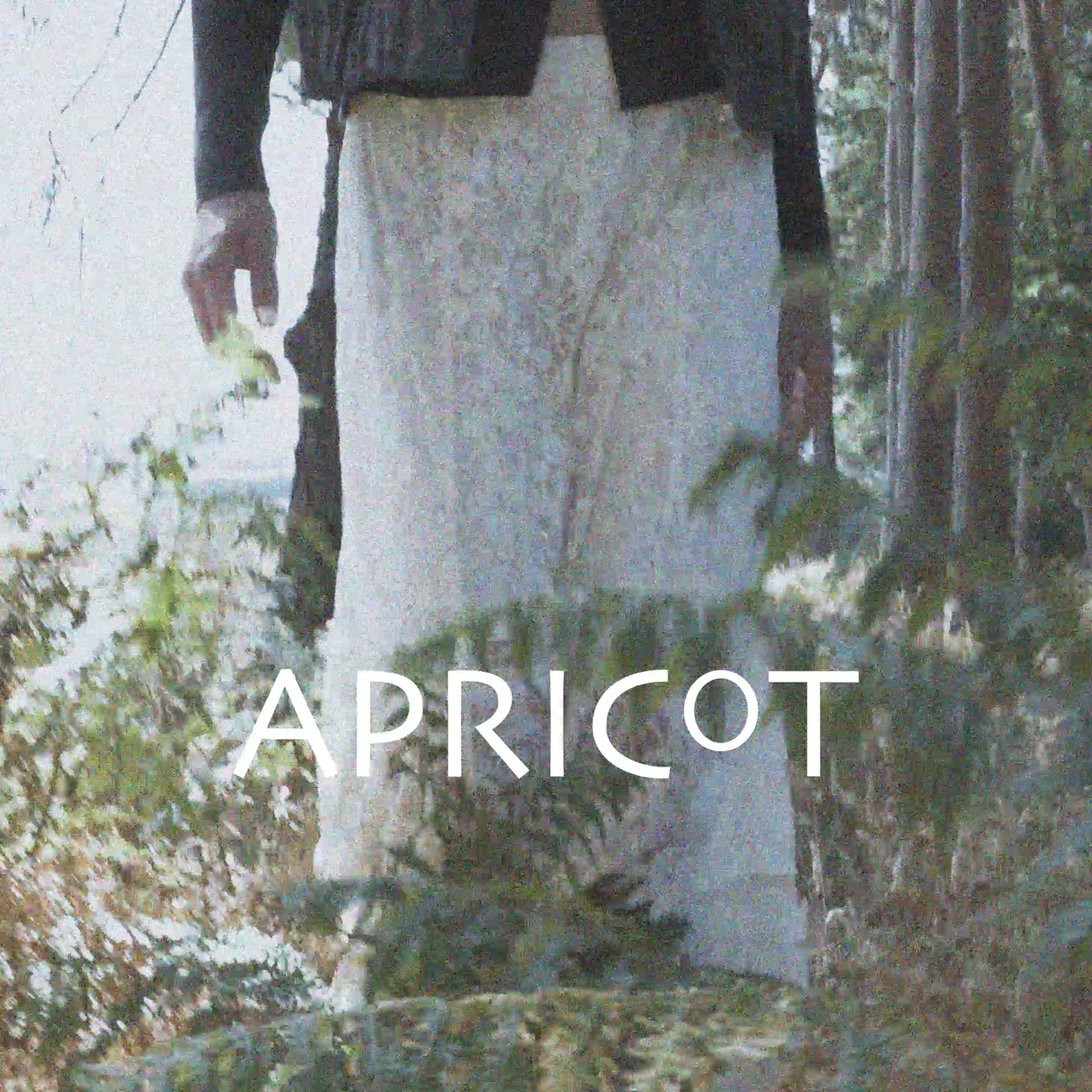 Apricot Clothing