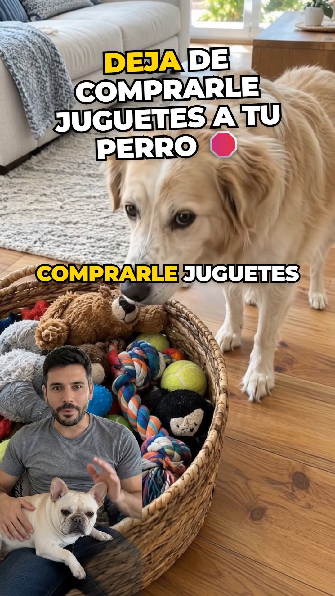 2x1 + envío gratis a toda España