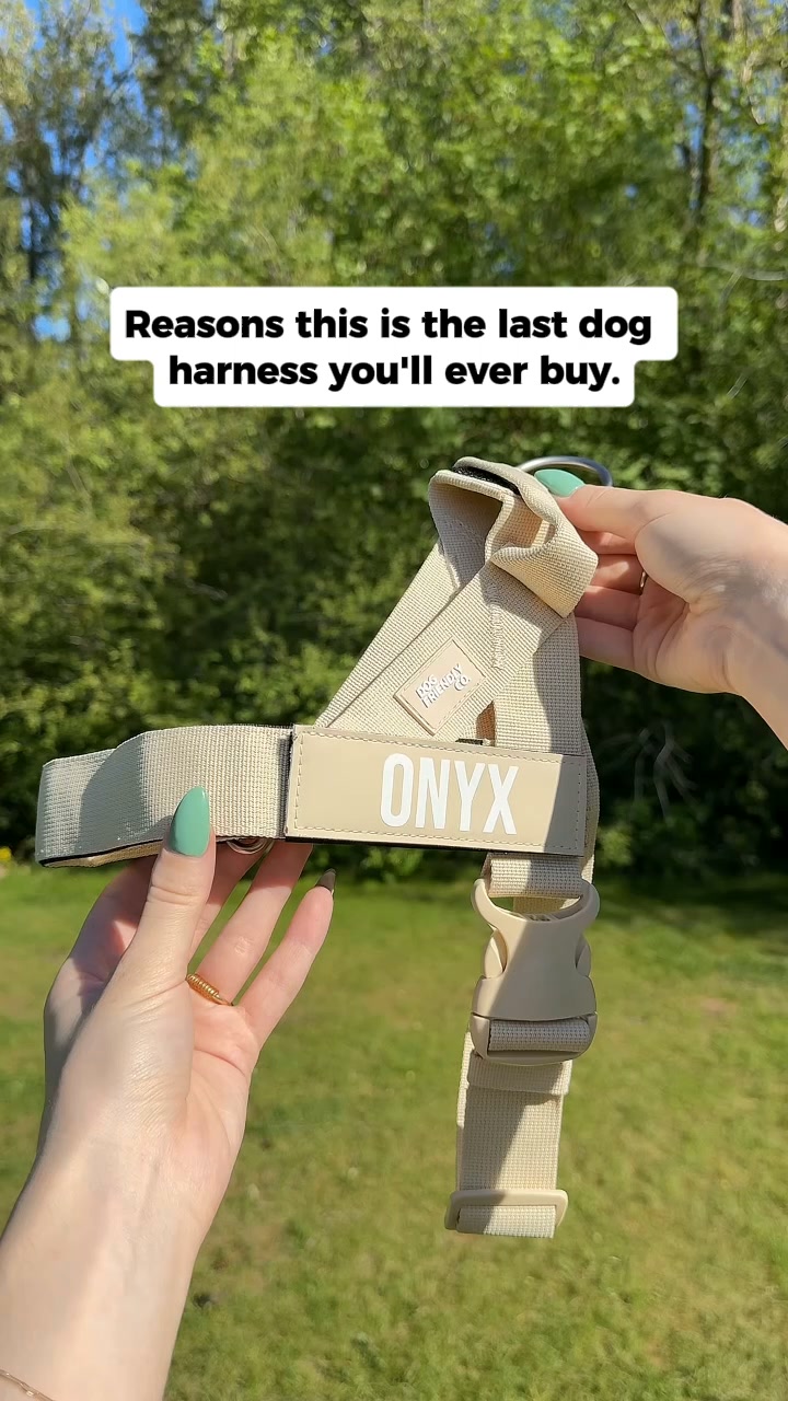 Rated #1 By Dog Owners