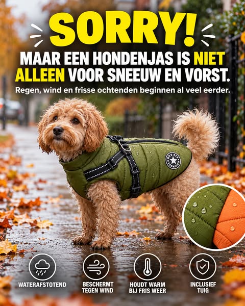 Tijdelijke aanbieding!