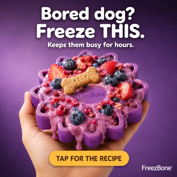 Your Dog Wants This.