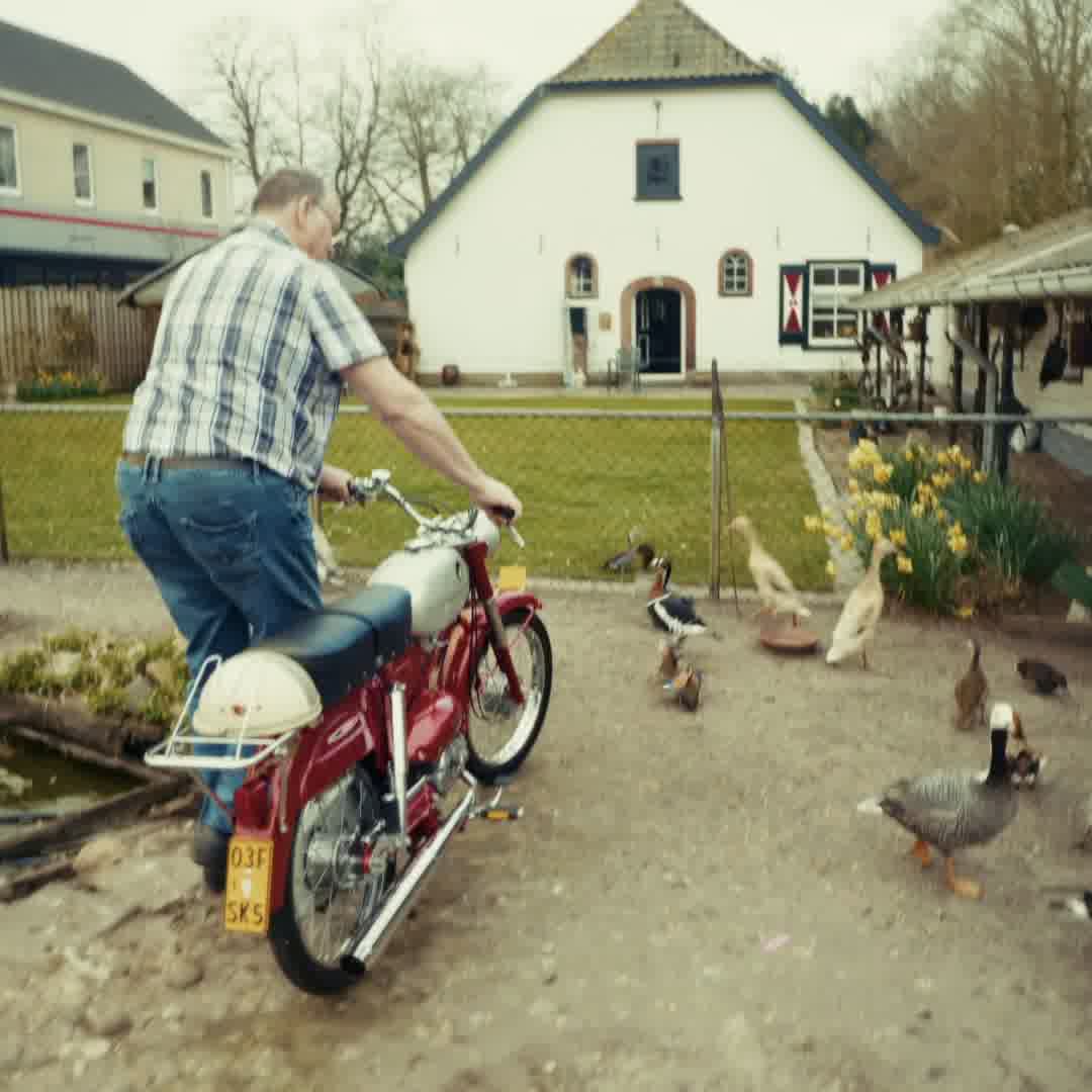 Gratis verzending vanaf €99