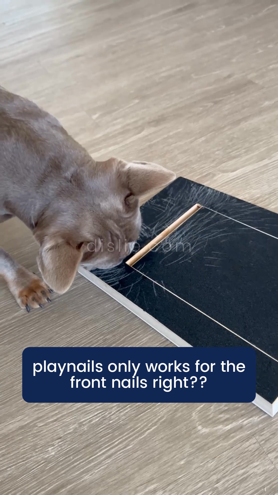 No more stressful nail trims, guaranteed.