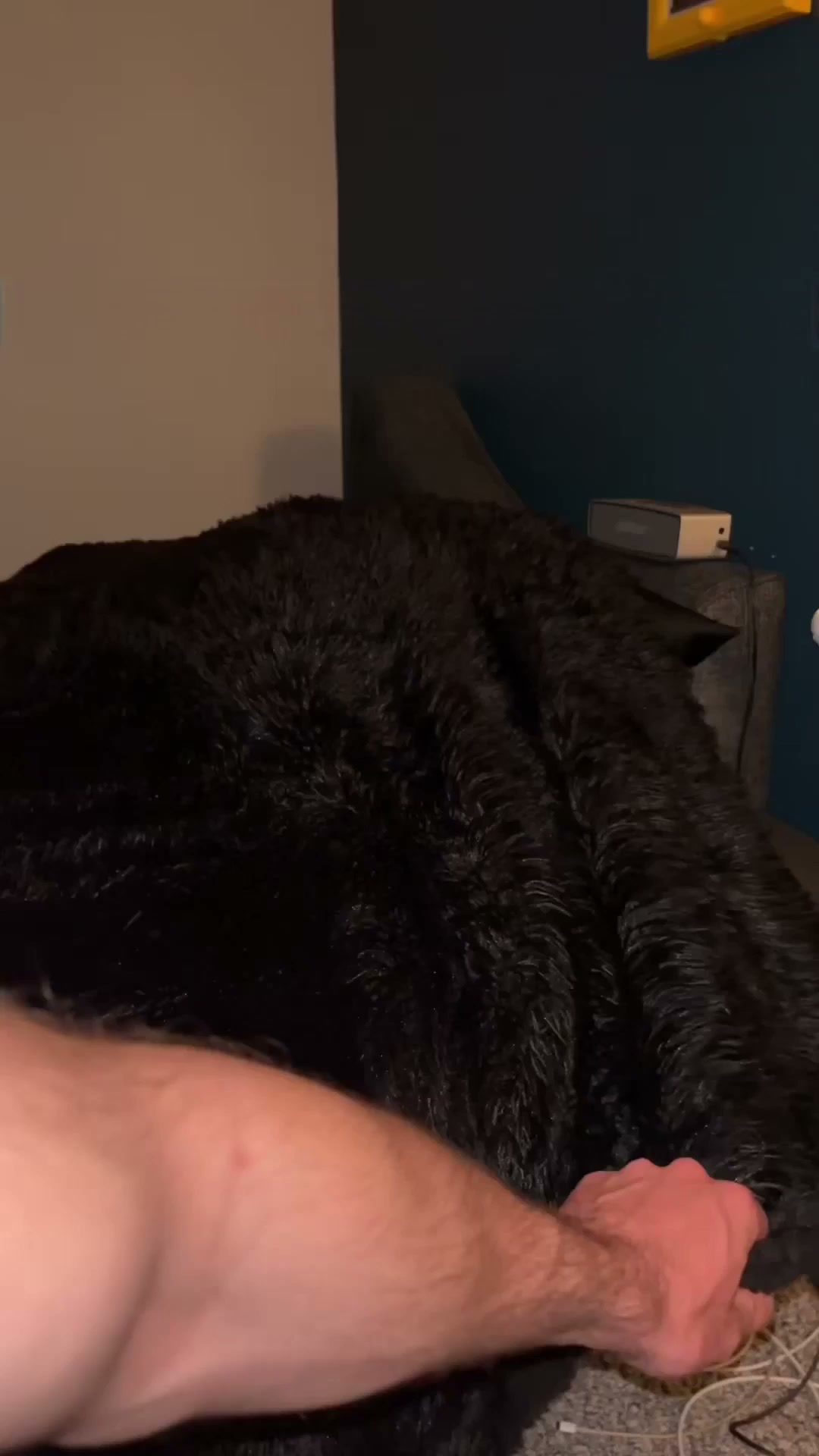 Transforma o Quarto em Poucos Segundos