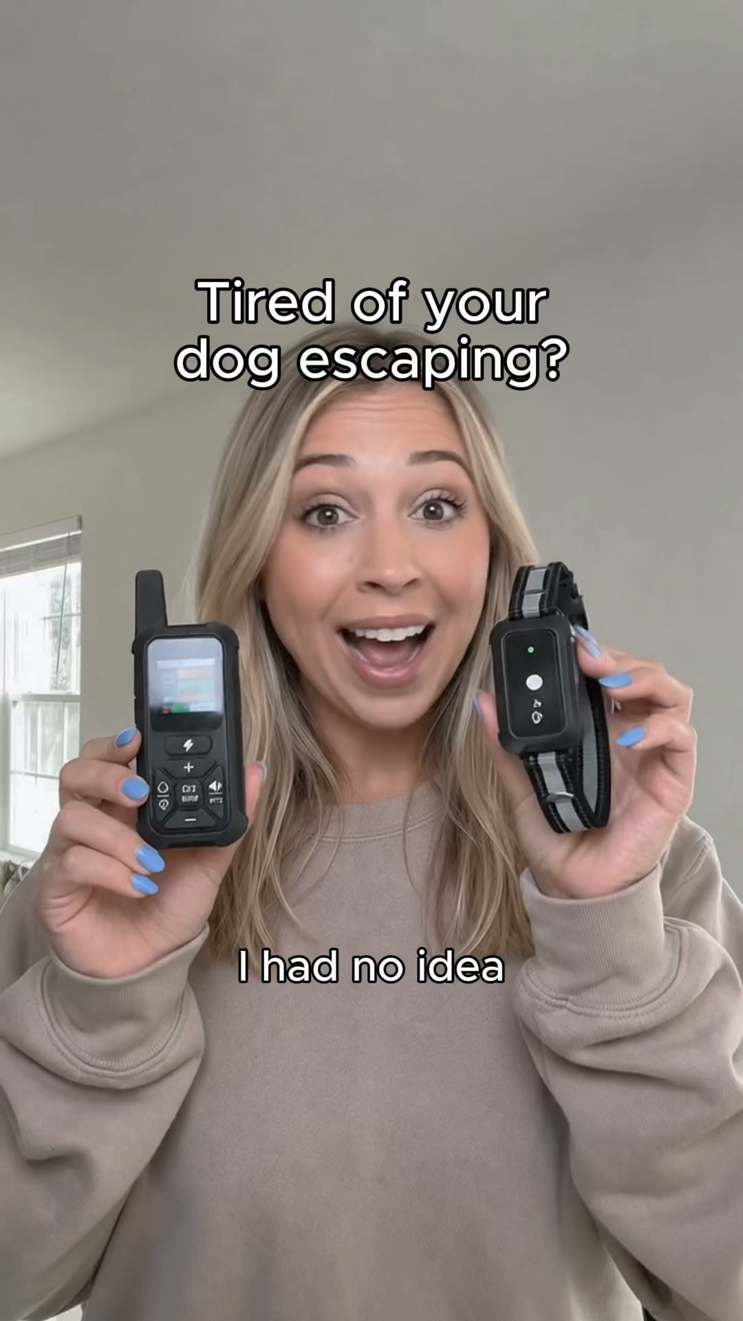How Dog Trainers Handle Escape Artists