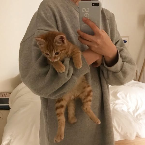 Ich habe meine Bella geliebt. Sie ist wegen meinem Fehler gestorben