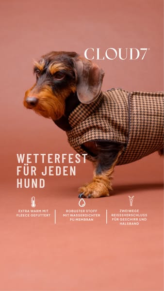 Hier entdecken