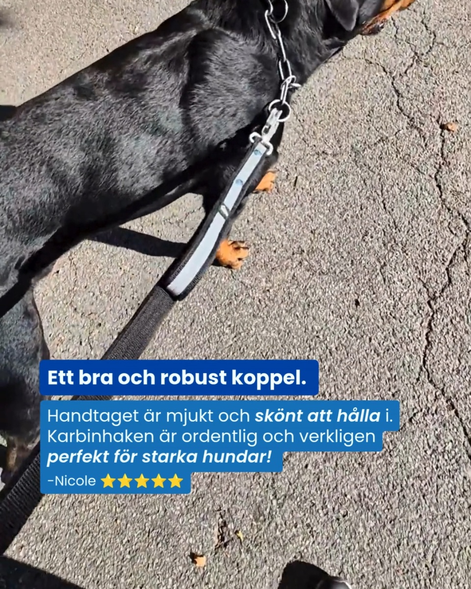 Valt av över 100 000 hundägare
