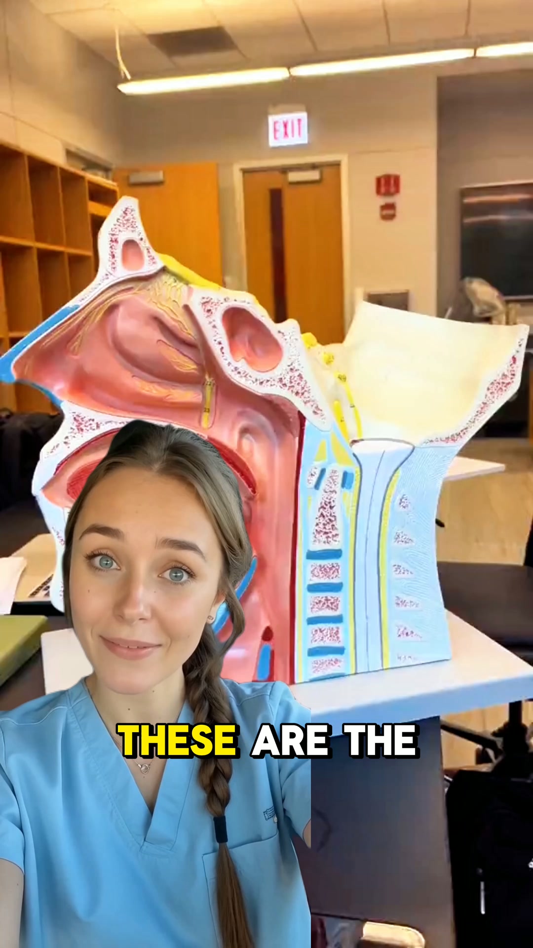 No More Nursing School Struggles