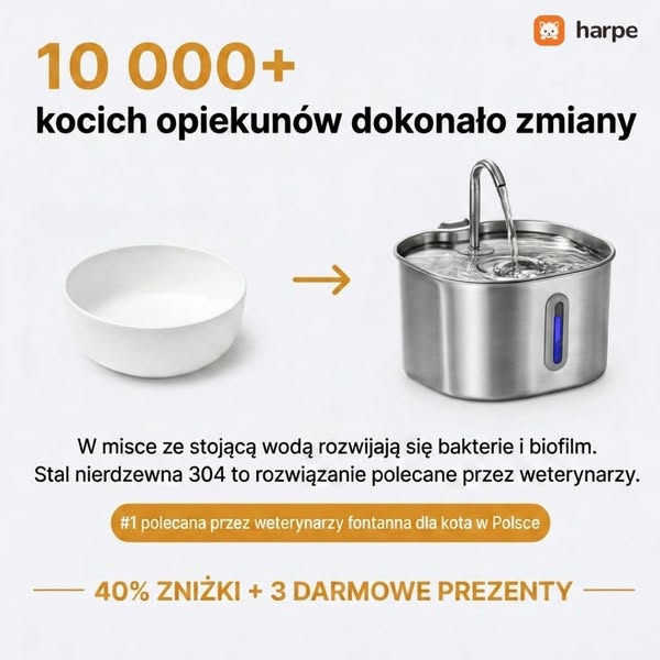 Pełna miska. A kot nadal nie pije?