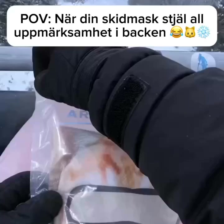 Vinterns roligaste mask