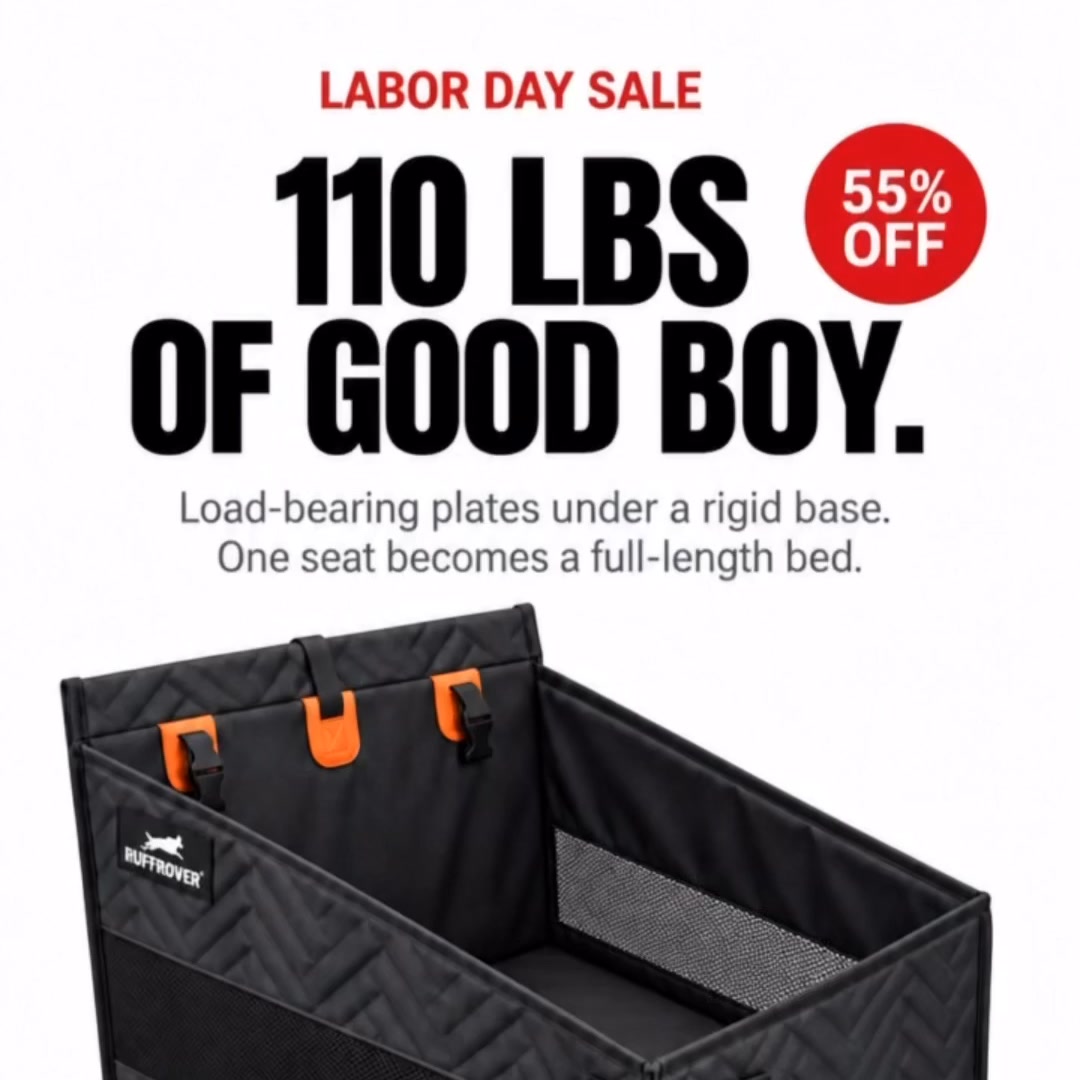 Safe & Comfy Rides in 1 Easy Step