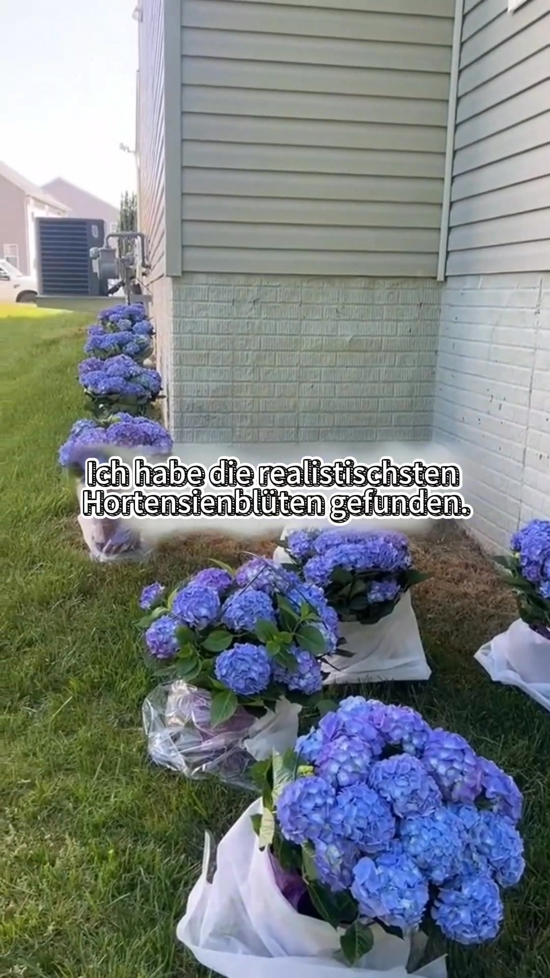 Frischen Sie Ihren Eingangsbereich im Nu auf!