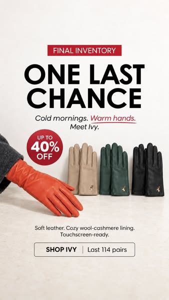 Premium leather gloves