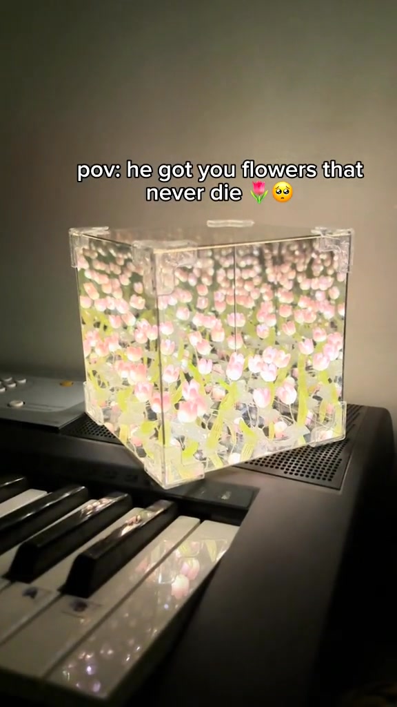 A Mirror That Blooms with Light