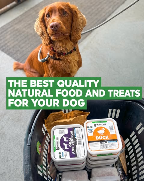 Mersey Raw | Raw Dog Food