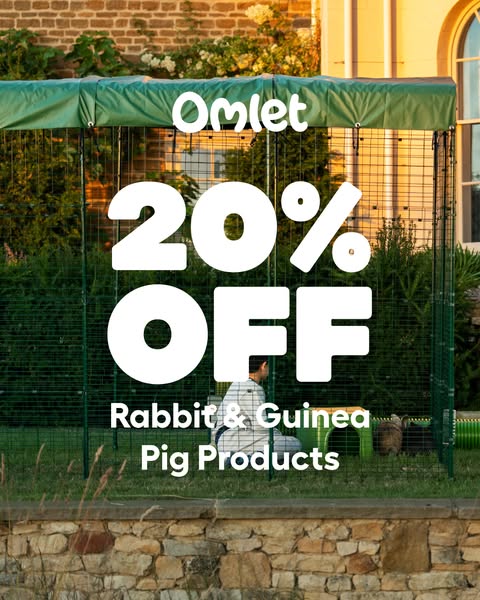 Fall savings for small pets