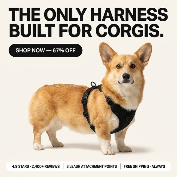 Built for Corgis