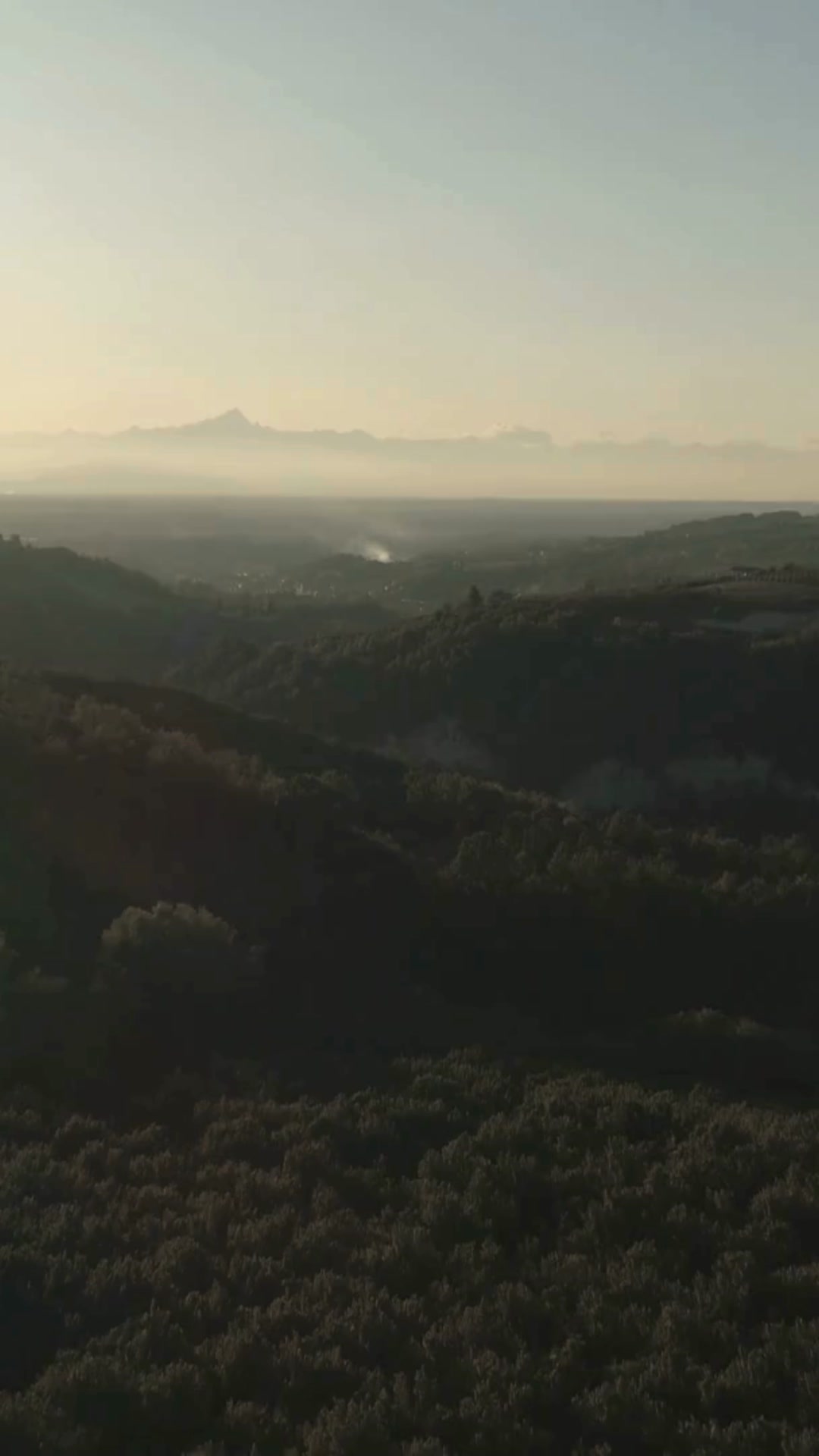 Anúncio de Tastëlanghe Azienda Agricola