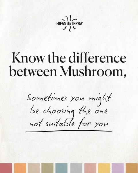 Hifas da Terra Premium Medicinal Mushroom Supplements
