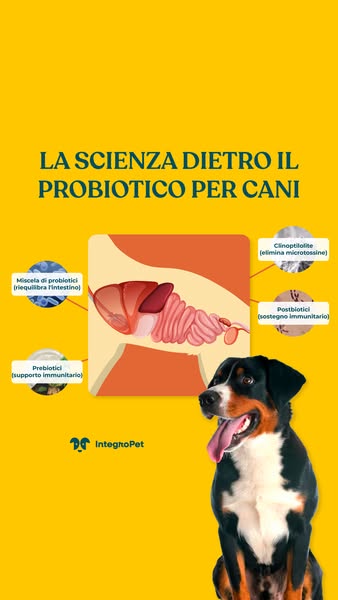 Elimina il Prurito del tuo Cane alla Fonte