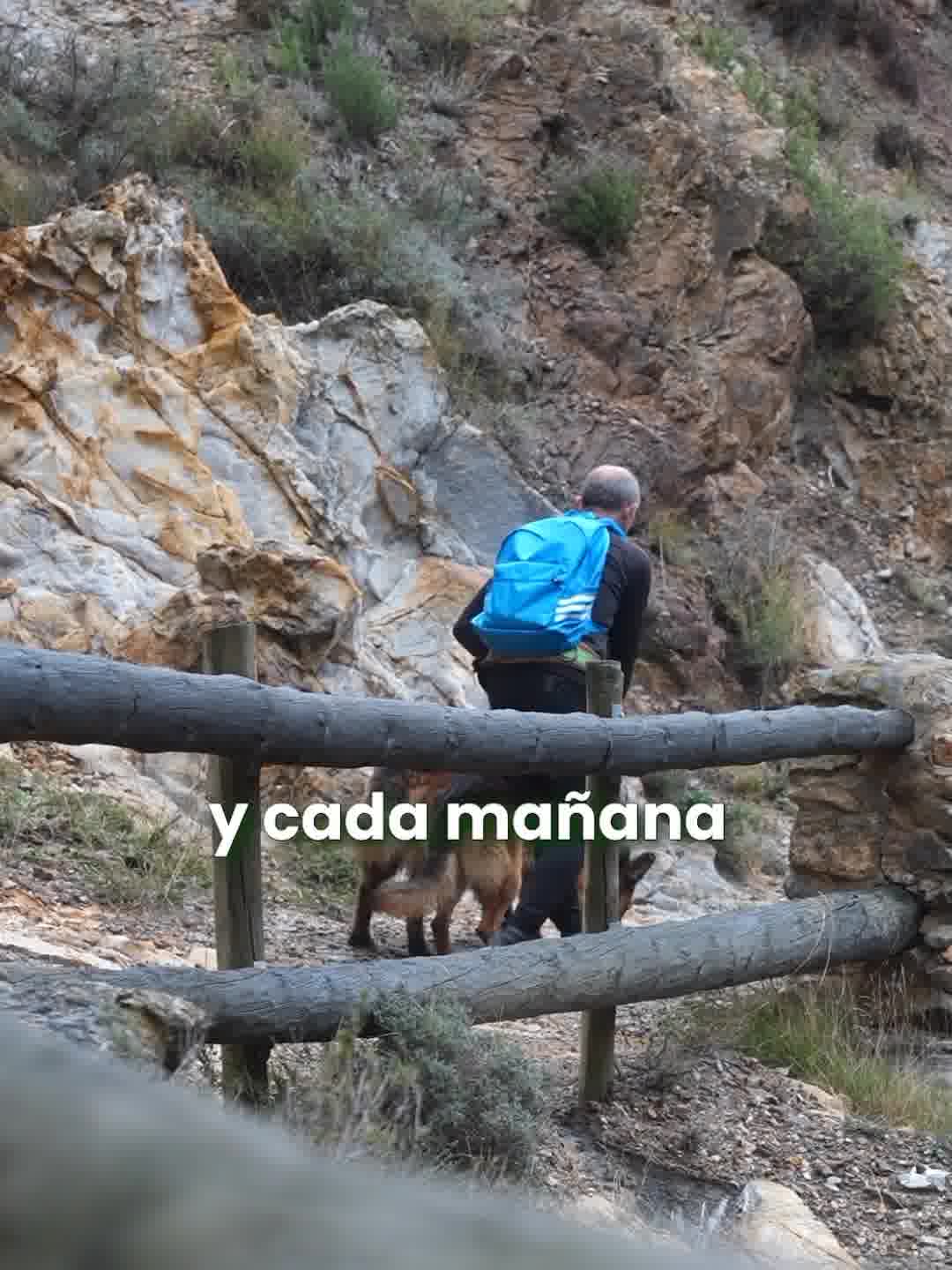 Dile basta al dolor