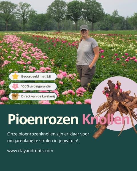 Shop nu met 10% korting!