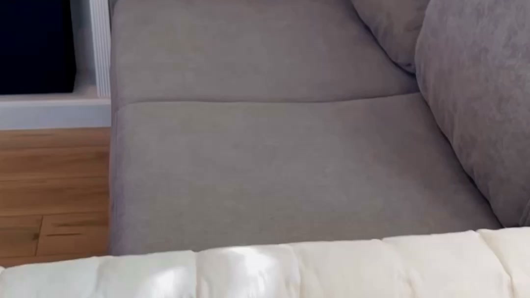 The Sofa Saver Dogs Actually Love