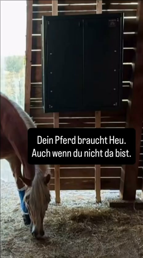 Heu füttern, auch wenn du nicht da bist.