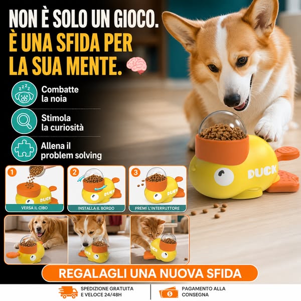 Quanto è intelligente il tuo cane?