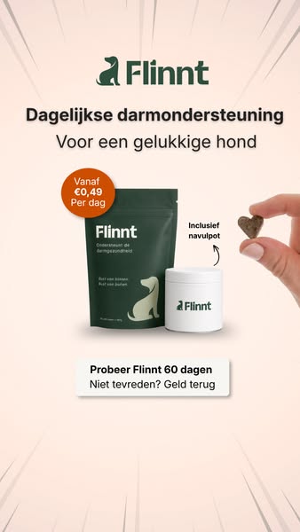 Profiteer nu van Flinnt vanaf €0,49 per dag