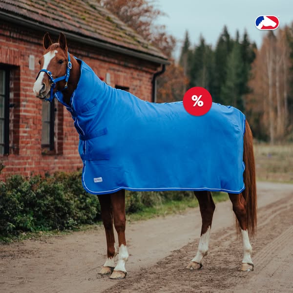 Chemise avec haute encolure Finntack Pro