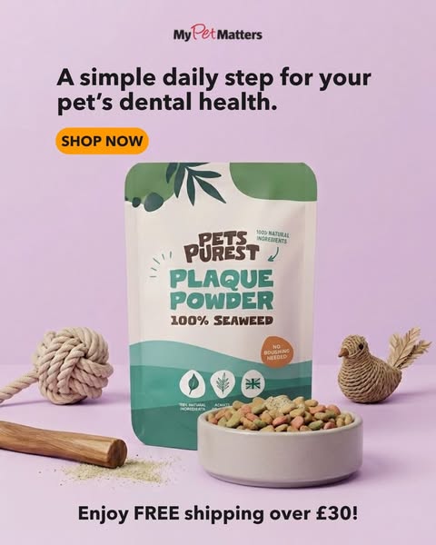 15% Off Your First Order + Free Shipping Over £30