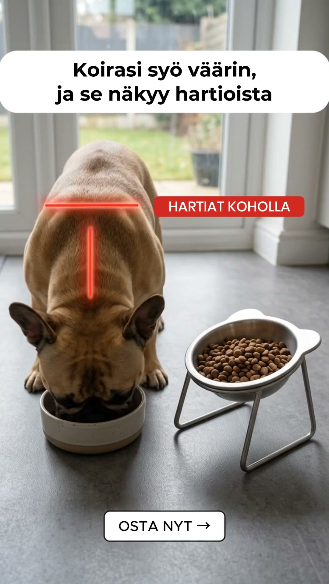 Unohda muovi. Paranna ruokailuhetkeä.