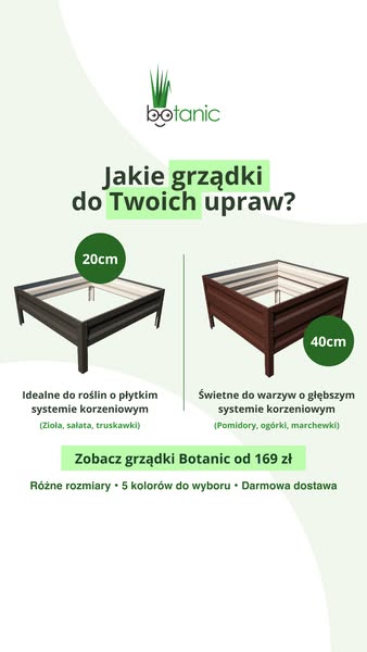 Darmowa dostawa