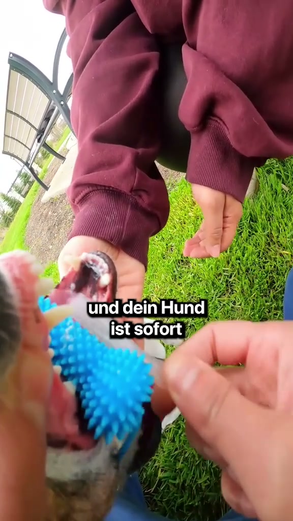 #1 Haustiertasche