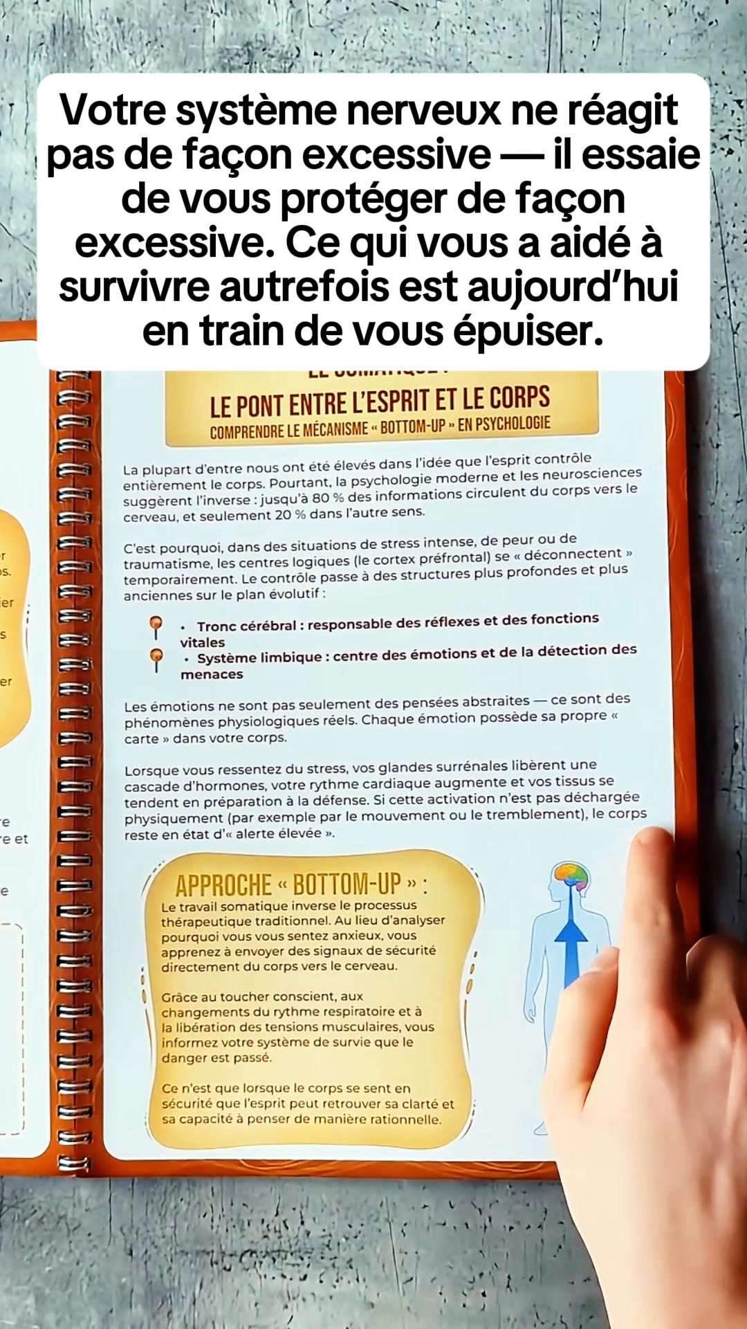 Cahier d’Exercices de Thérapie Somatique
