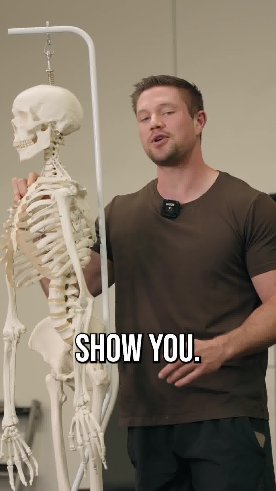 Restore Your Body. Reset Your Life.