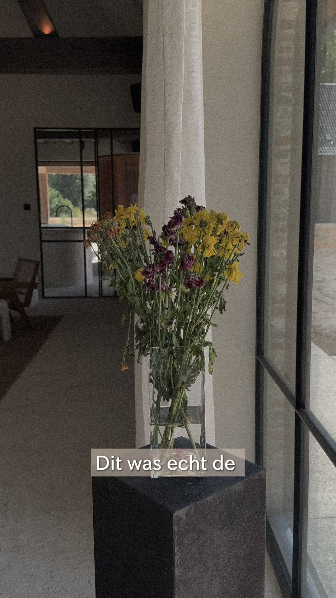 Nooit Meer Verwelkte Bloemen