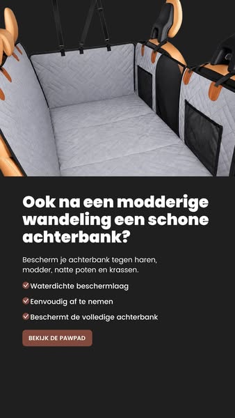 Gratis verzending in NL & BE!