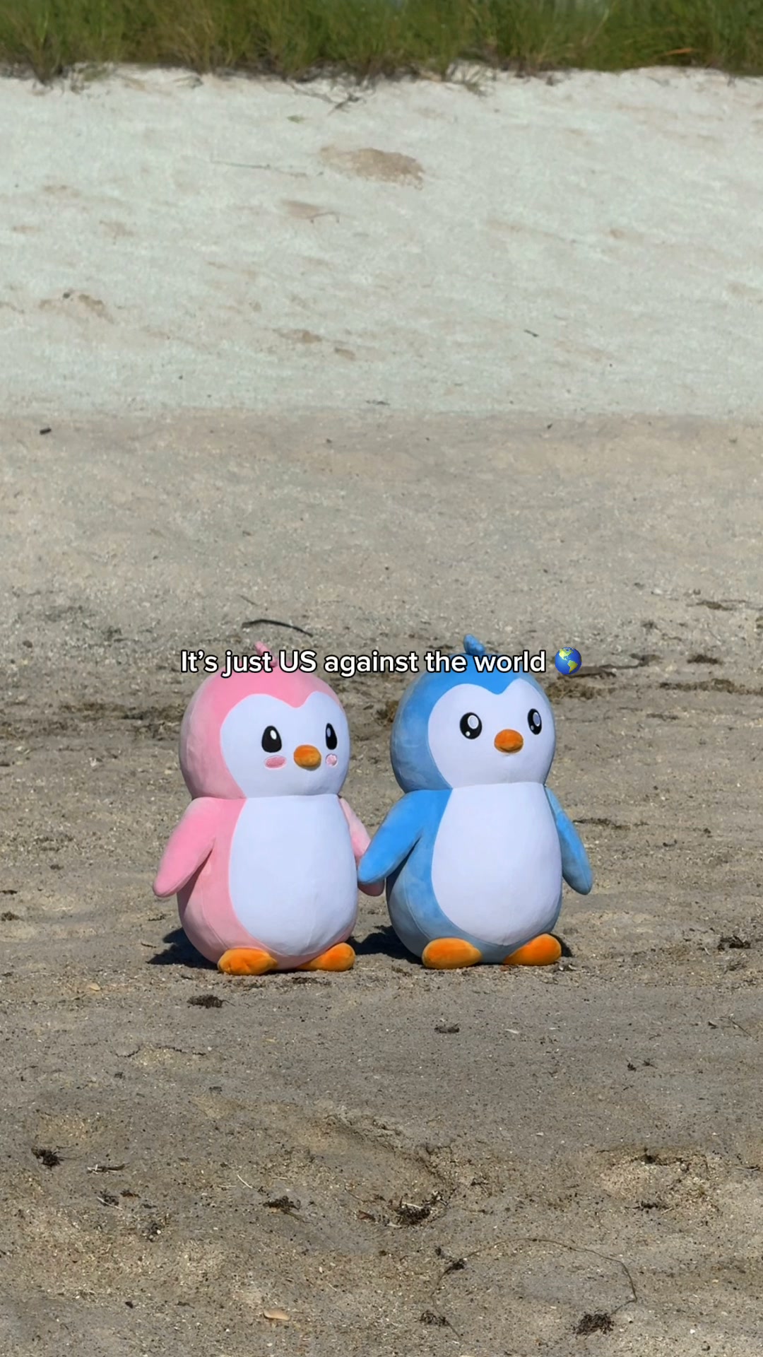The Couple’s Plush Set