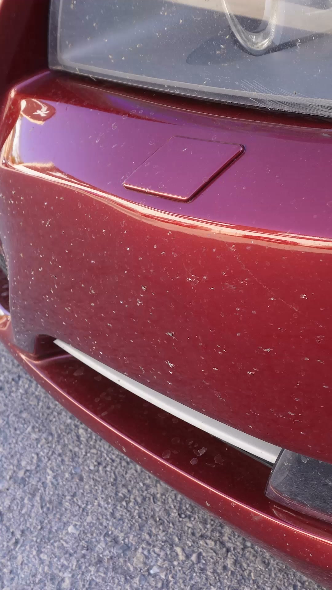 FullCarX limpieza total en tu carrocería