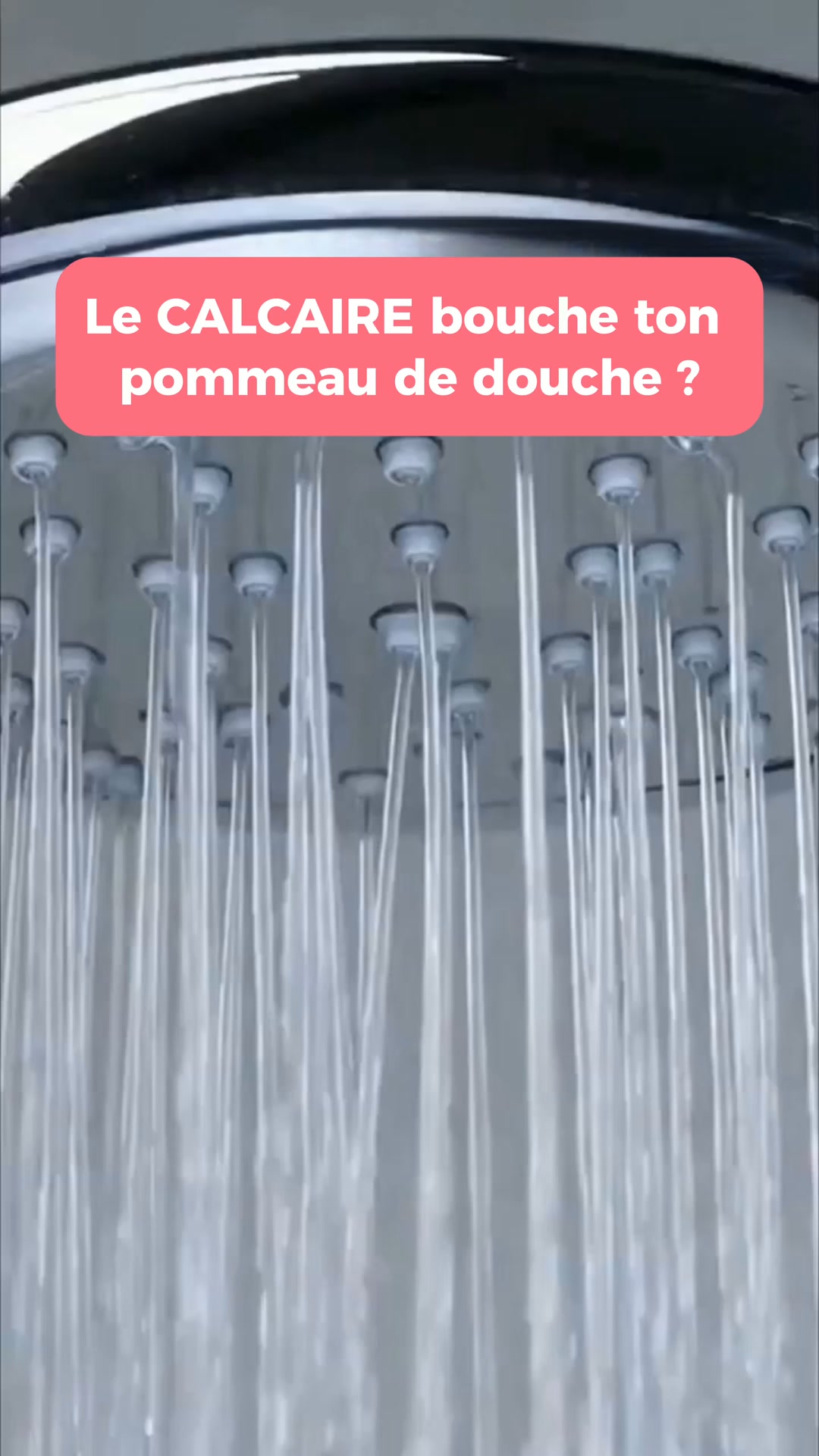 Livraison Gratuite