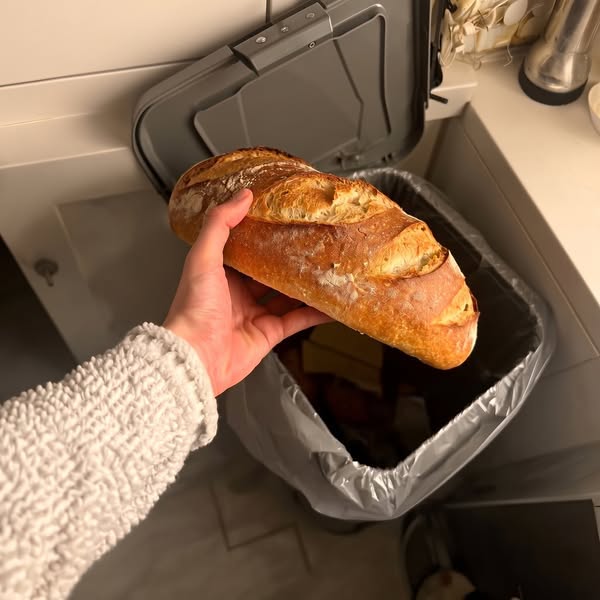 Læs dette når dit brød mugner