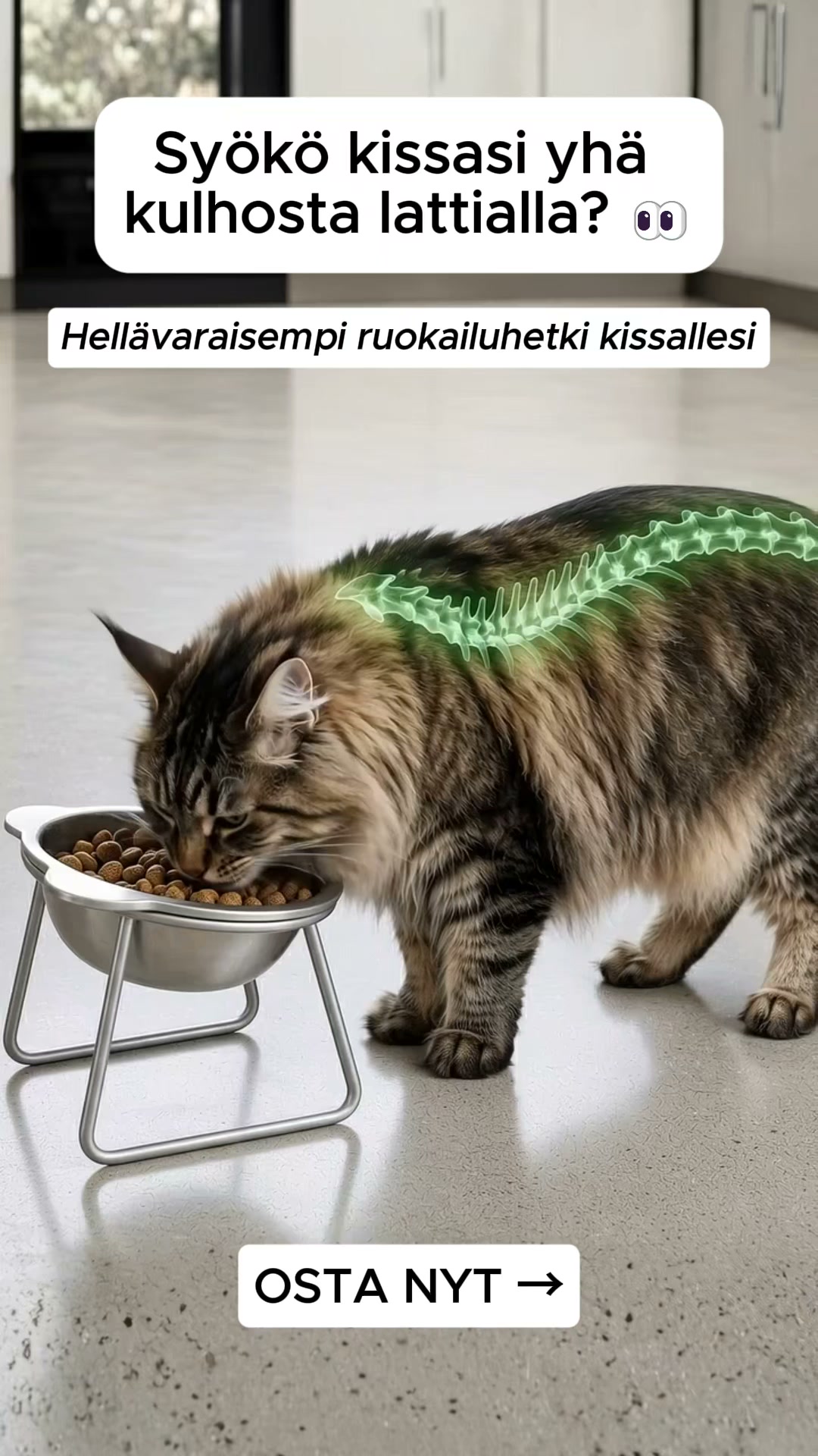 Ergonominen 15° kulho kissoille