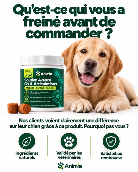 Dernière chance : offre jusqu’à ce soir